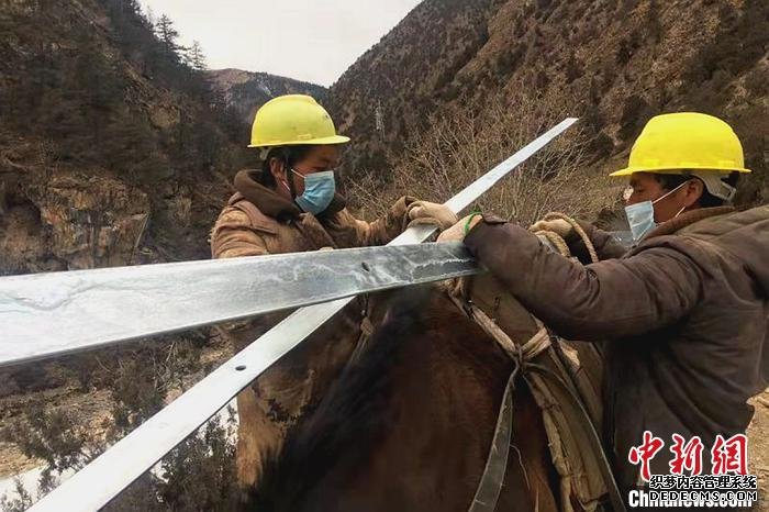 西藏电力施工人员用骡子运输组塔材料。国网西藏电力有限公司 供图